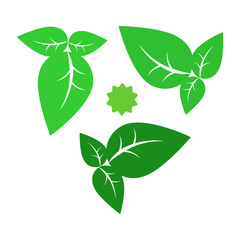 Logo leaf