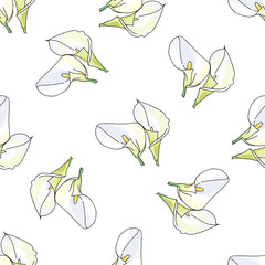 Pattern with hand drawn decorative calla 