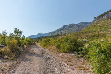 Fototapeta na wymiar Crimea summer landscape with a mountain dirt road on the slopes of the foothills of the mountain range Ai-Petri