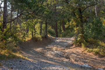 Crimean summer mountain landscape with a mountain dirt road in the woods