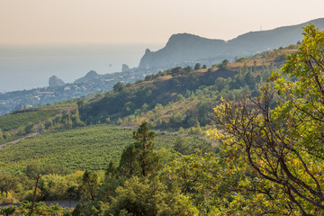Crimea. View of Simeiz and mountain Cat from the slopes of the foothills of the Ai-Petri in the summer evening