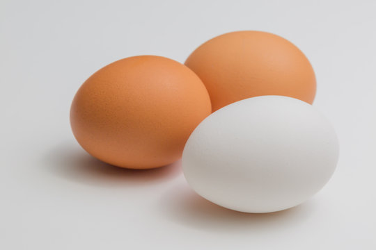卵
