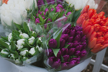 Street flower market. Different tulips.