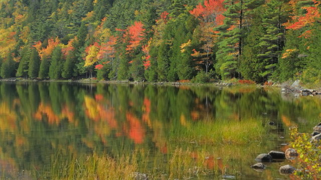 Colorful fall foliage reflects in the calm early morning waters of Bubble Pond on an autumn day in Acadia National Park, Maine.