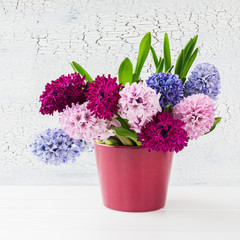 Bouquet of colorful hyacinths in flowerpot on the table. 