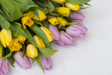 Wiosenny bukiet kwiatów z żółtych i liliowych tulipanów oraz żonkili  na białym tle