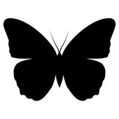 Silhouette of a butterfly