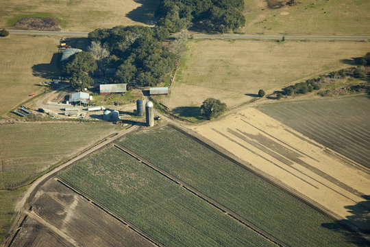 Vegetable Farm, Aerial View