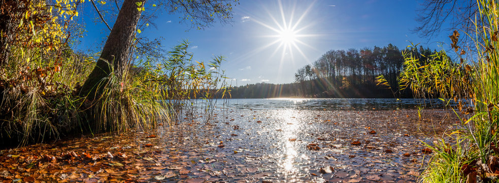 Herbstlaub im See in morgendlicher Sonne