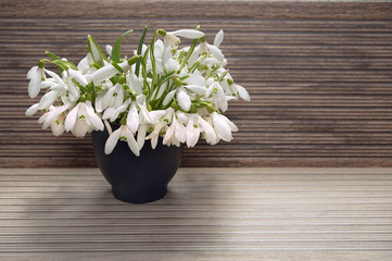 bouquet of snowdrops