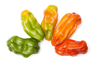 Aji dulce is a variety of sweet perennial peppers
