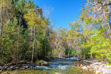 South Piney Creek