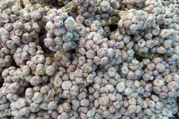 Branch of Fresh Garlic sales in Thai food market