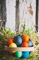 Easter: Colored Eggs In Basket Surrounded By Easter Grass