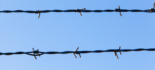 Barbed wire and blue sky