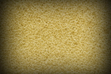 Sponge texture for pattern and background