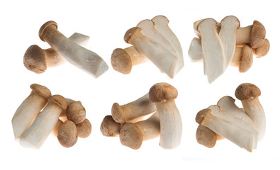 King Oyster mushrooms isolated on white background