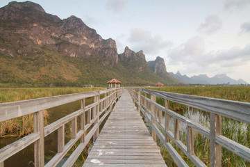 Fototapeta premium wood walkway around the mountain park in evening