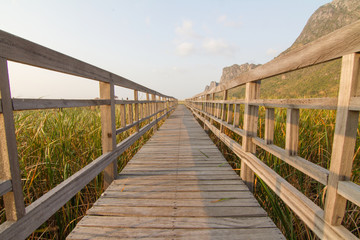 Obraz premium wood walkway around the mountain park in evening