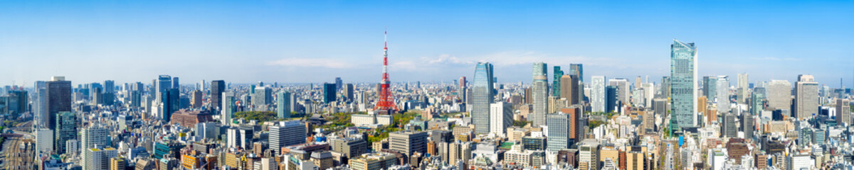 Fototapeta na wymiar Tokyo Skyline Panorama im Sommer mit Tokyo Tower