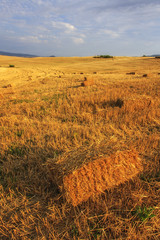 Campagna in Italia