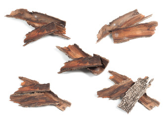 Collection of Wooden dry sliver firewood bark isolated on white