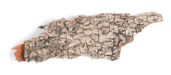 Collection of Wooden dry sliver firewood bark isolated on white