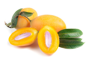 collection of Marian plum or Maprang fruits of Thailand isolated