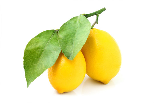 Two fresh lemons.