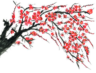 A branch of a blossoming tree. Pink flowers of sakura . Watercolor and ink illustration in style sumi-e, u-sin. Oriental traditional painting.  Isolated on white background.