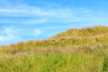 The colorful scenic nature of green field on top hill with beaut