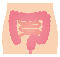 元気な腸　健康
