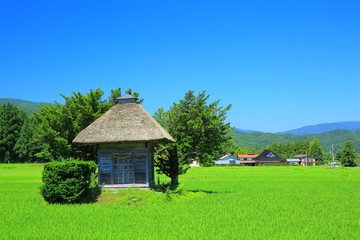 Fototapeta na wymiar 遠野市　夏の荒神神社