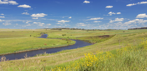 Obraz premium Beautiful summer landscape with river