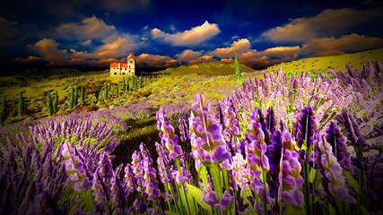Obraz na płótnie Canvas Castle towering 9ver lavender fields