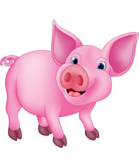 Cartoon happy pig isolated on white background