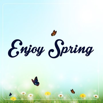 Spring background with flowers and butterflies in meadow 