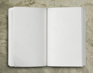 Open notebook isolated on white.