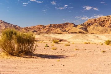 Foto op Plexiglas Sinaï woestijnlandschap © Kotangens