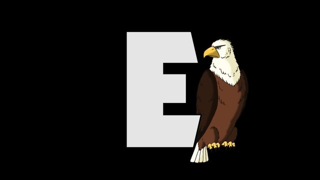 .Letter E and Eagle (background)
Animated animal alphabet. HD footage with alpha channel. Animal in a background of letter.