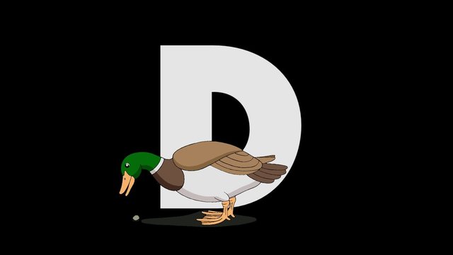 Letter D and Duck  (foreground)
Animated animal alphabet. HD footage with alpha channel. Animal in a foreground of letter.