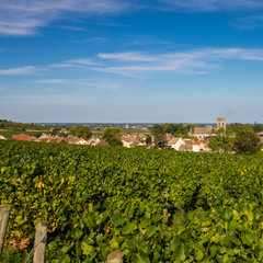 Fototapeta na wymiar village viticole