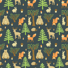 wild forest