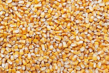 Corn