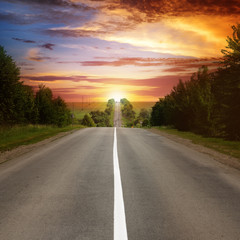road between trees and beautiful sunset