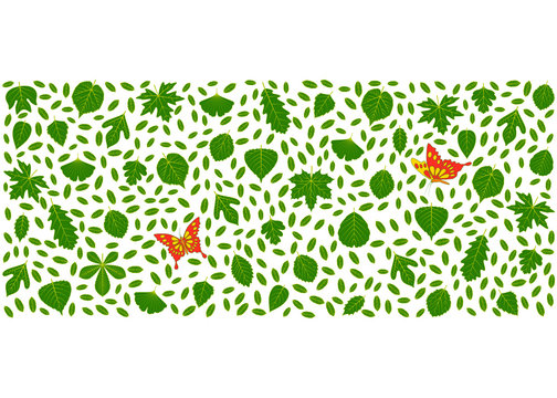 Spring background made of different tree leaves and butterflies. Various elements for design. Cartoon vector illustration. Green  fresh colors.
