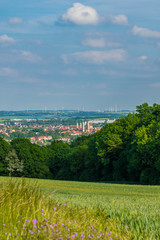 Blick auf Naumburg und Naumburger Dom im Sommer, Burgenlandkreis in Sachsen-Anhalt