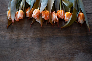 Beautiful orange tulips on a dark wooden background.