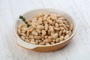 White canned kidney