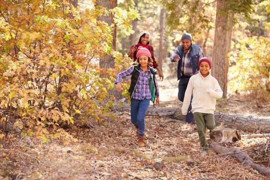 Grandparents With Children Walking Through Fall Woodland